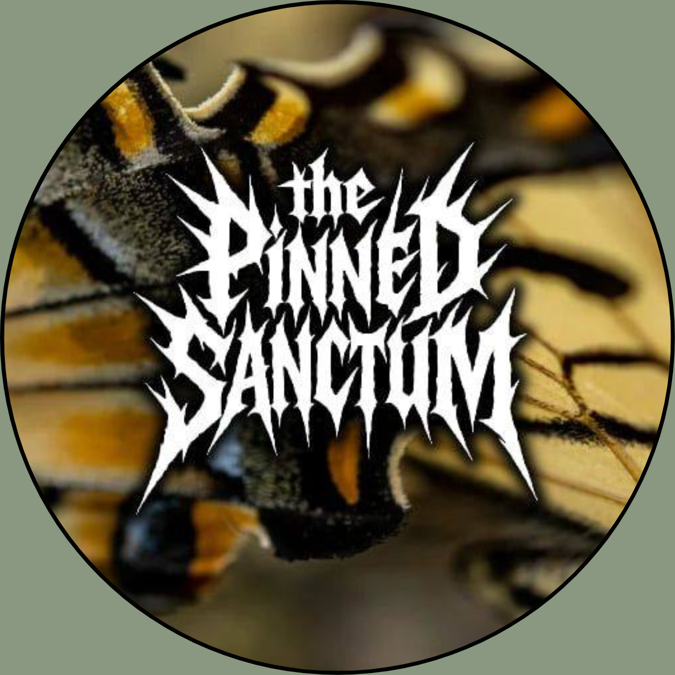 The Pinned Sanctum