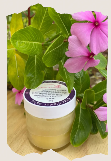 Elderflower & Rosehips Salve - 45g
